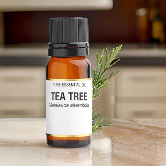 Tea Tree Essential Oil 10ml