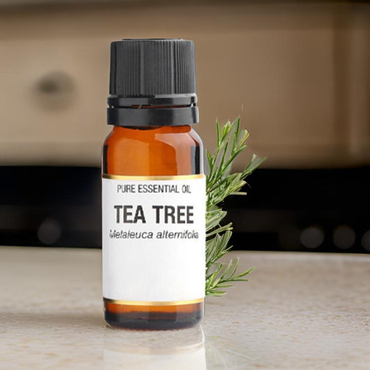 Tea Tree Essential Oil 10ml